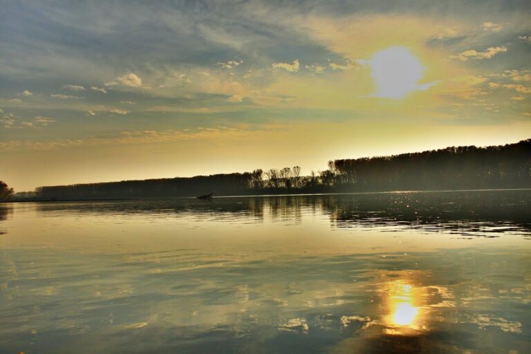 Икономика на плитките води